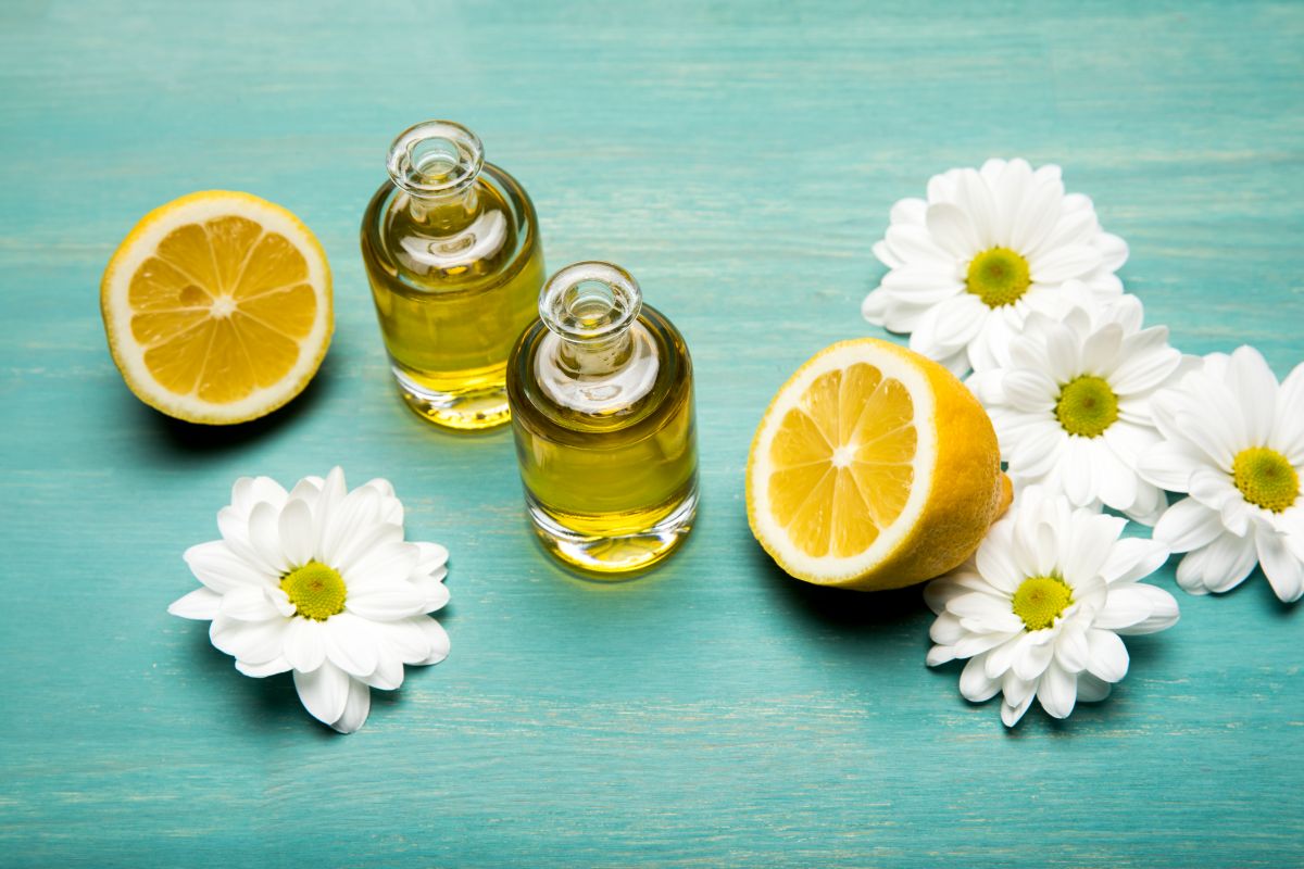 Les meilleurs produits naturels contre les punaises de lit